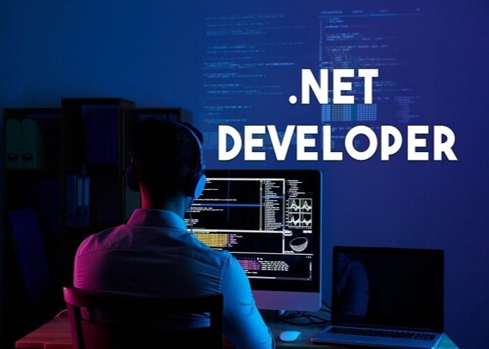 reasons-for-hiring-dot-net-devel